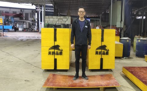 東龍9層倒水泥用低價建筑膠合板
