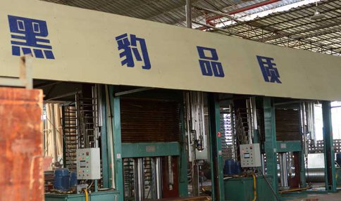 廣西建筑木模板廠家面對全國經銷商展示