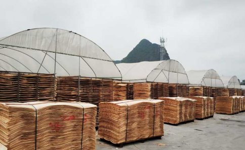 南寧模板廠「黑豹木業(yè)」大型單板曬場