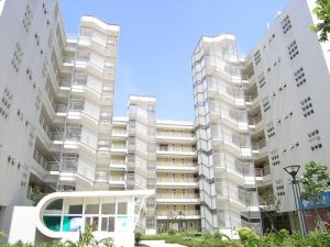 南寧建筑模板廠家分享模板增加使用次數的方法