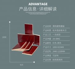 廣西南寧建筑大模板廠家排名