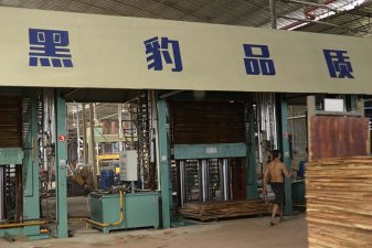 2019廣西南寧桉木模板價格行情一覽表
