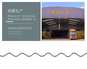 黑豹木業，您值得信賴的南寧建筑模板廠家