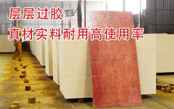 廣西哪里建筑模板廠多？是南寧嗎？