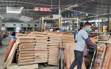 建筑模板生產廠家推薦產品：苯酚面建筑模板