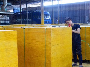 建筑模板市場企業現狀分析-存在五大問題點