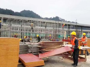 廣東珠海客戶見證怪獸紅面建筑模板品質(zhì)